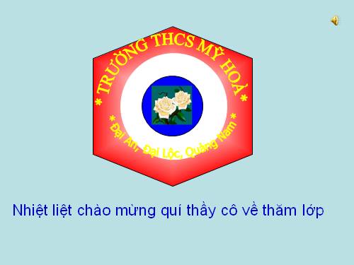 Các bài Luyện tập