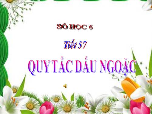 Chương II. §8. Quy tắc dấu ngoặc