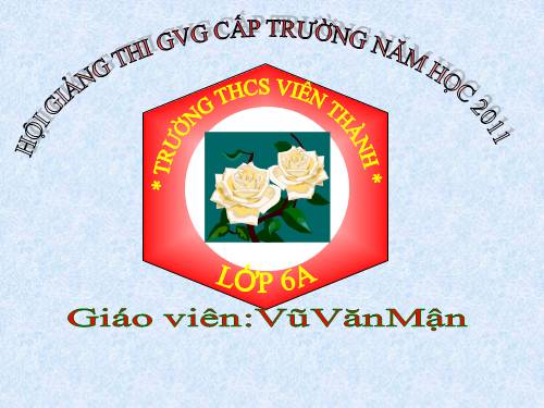 Các bài Luyện tập