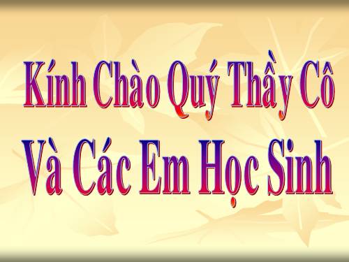 Chương II. §4. Cộng hai số nguyên cùng dấu