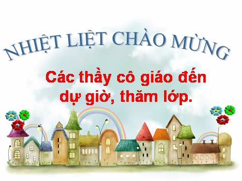 Các bài Luyện tập