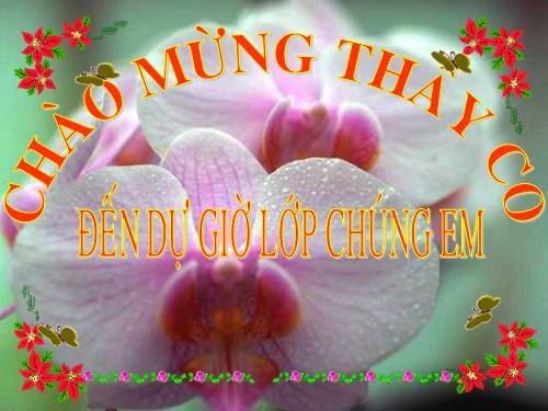 Chương I. §17. Ước chung lớn nhất