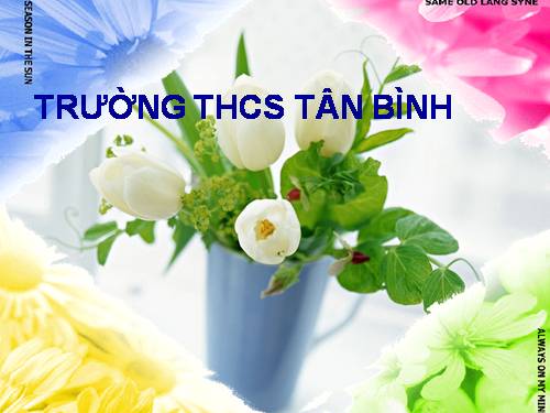 Các bài Luyện tập