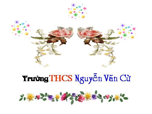 Chương I. §10. Tính chất chia hết của một tổng