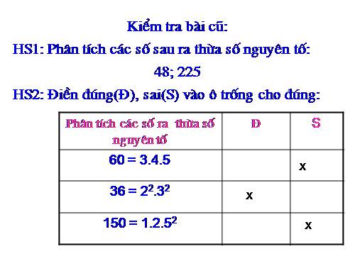 số 6