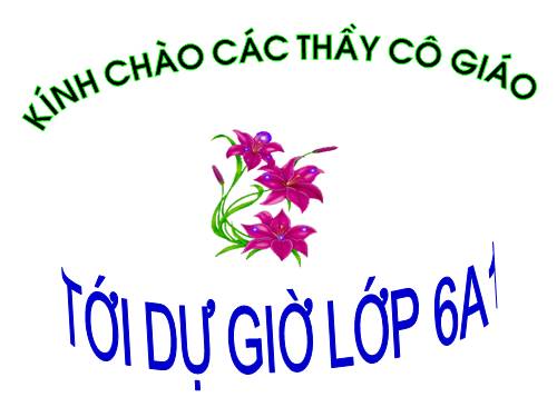 Các bài Luyện tập