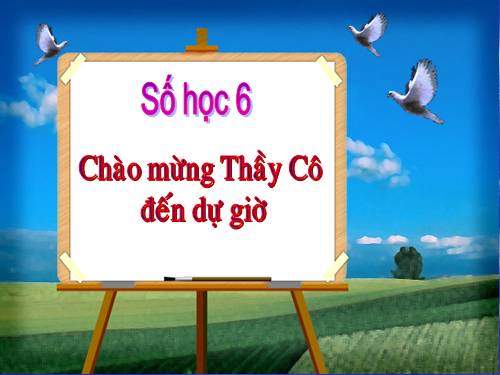 Chương II. §4. Cộng hai số nguyên cùng dấu