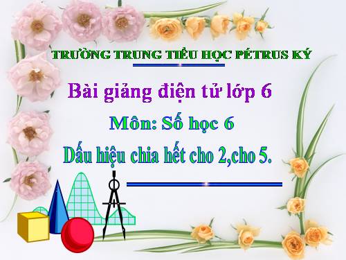 Chương I. §11. Dấu hiệu chia hết cho 2, cho 5