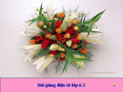 Chương I. §11. Dấu hiệu chia hết cho 2, cho 5