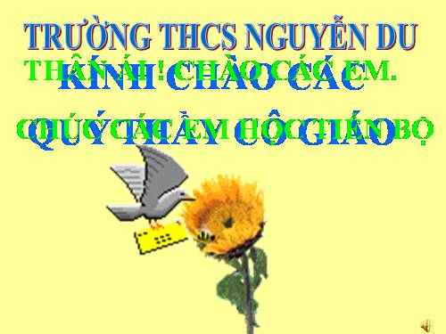 Chương I. §13. Ước và bội