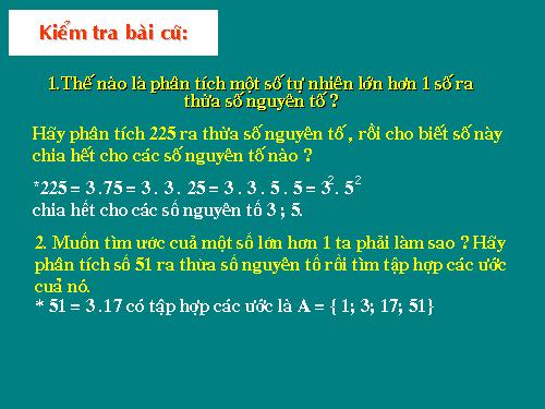 Các bài Luyện tập