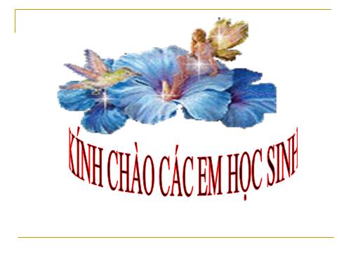 Các bài Luyện tập