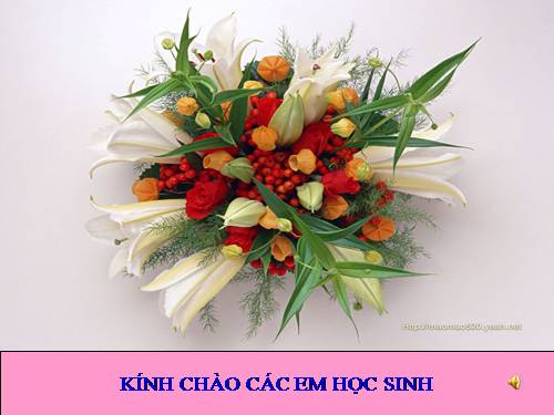 Chương I. §11. Dấu hiệu chia hết cho 2, cho 5