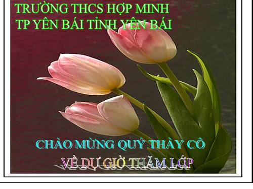 Ôn tập Cuối năm phần Số học