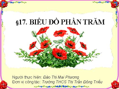 Chương III. §17. Biểu đồ phần trăm