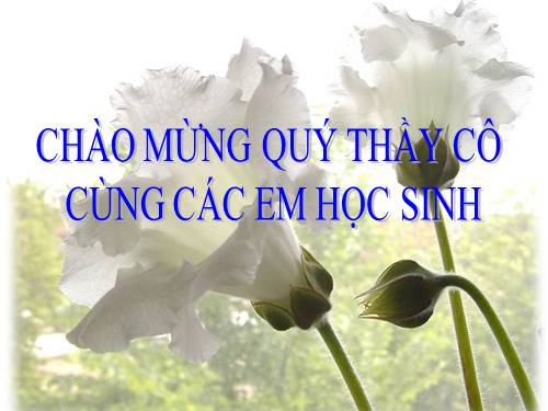 Các bài Luyện tập