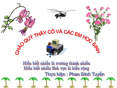 Các bài Luyện tập