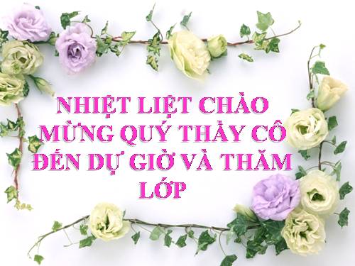 Chương III. §5. Quy đồng mẫu nhiều phân số