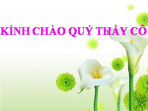 Chương III. §3. Tính chất cơ bản của phân số