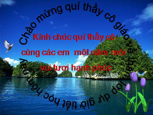 Chương III. §4. Rút gọn phân số