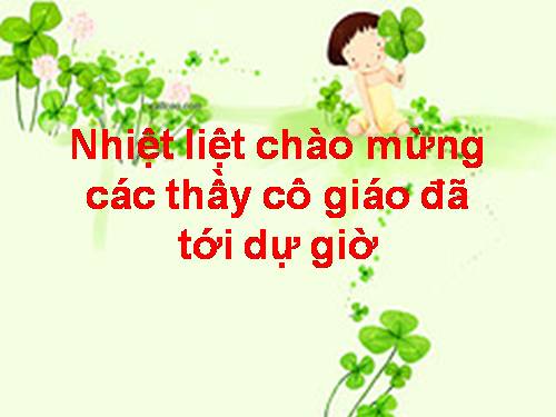 Các bài Luyện tập