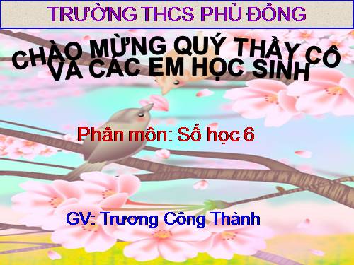 Chương I. §13. Ước và bội