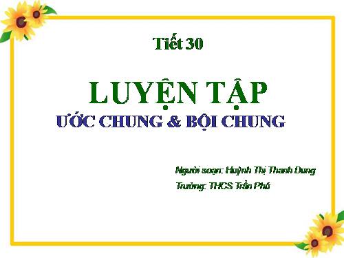 Các bài Luyện tập