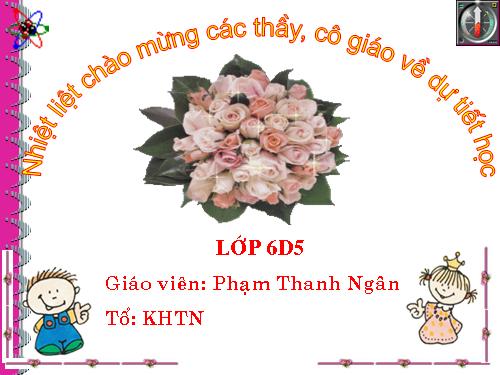 Chương I. §15. Phân tích một số ra thừa số nguyên tố