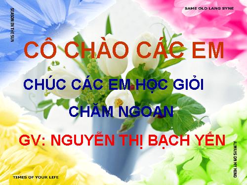 Các bài Luyện tập