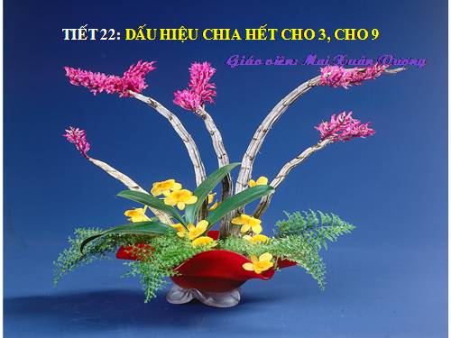 Chương I. §12. Dấu hiệu chia hết cho 3, cho 9