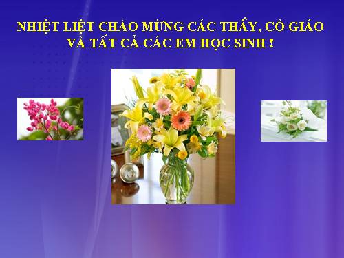 Các bài Luyện tập