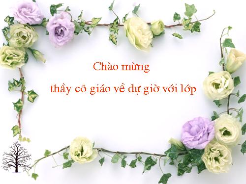 Chương III. §16. Tìm tỉ số của hai số