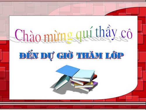 Các bài Luyện tập