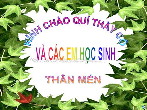 Các bài Luyện tập