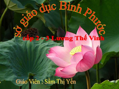 Chương III. §6. So sánh phân số