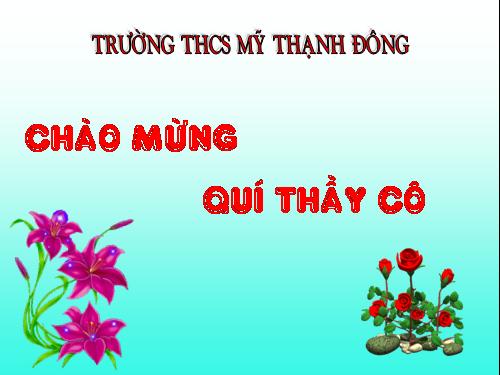 Các bài Luyện tập