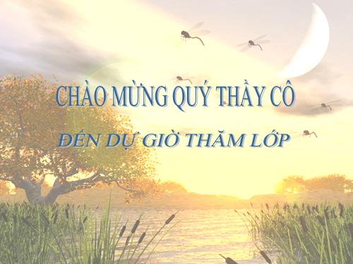 Chương I. §14. Số nguyên tố. Hợp số. Bảng số nguyên tố