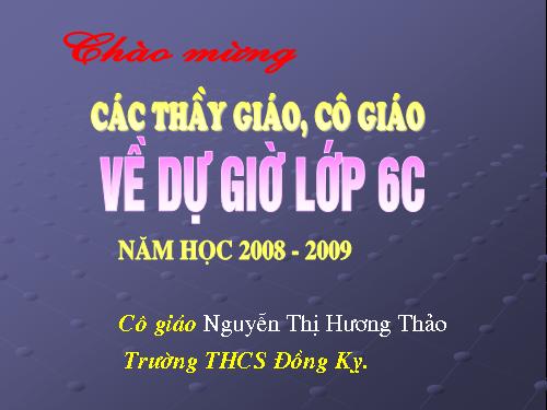 Các bài Luyện tập