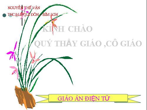 Các bài Luyện tập