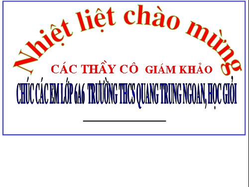 Các bài Luyện tập