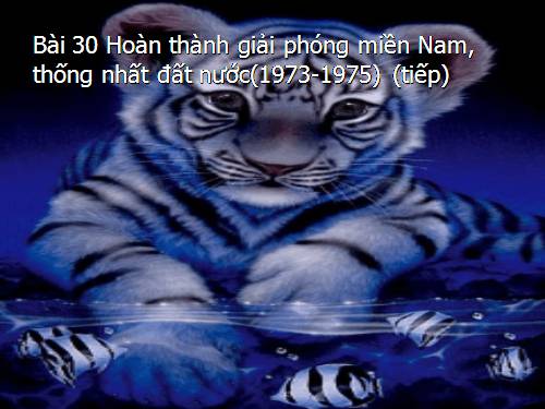 Bài 30. Hoàn thành giải phóng miền Nam, thống nhất đất nước (1973 - 1975)