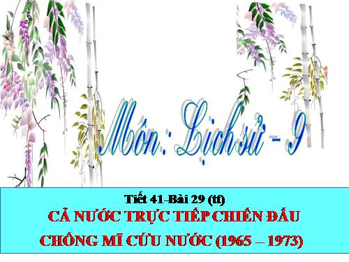 Bài 29. Cả nước trực tiếp chiến đấu chống Mĩ, cứu nước (1965 -1973)