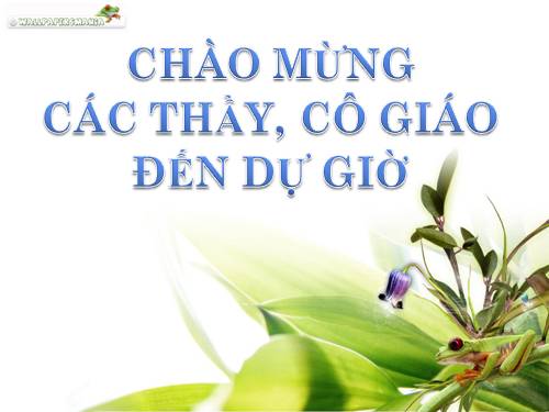 tiết 52 - Tạo và làm việc với bảng