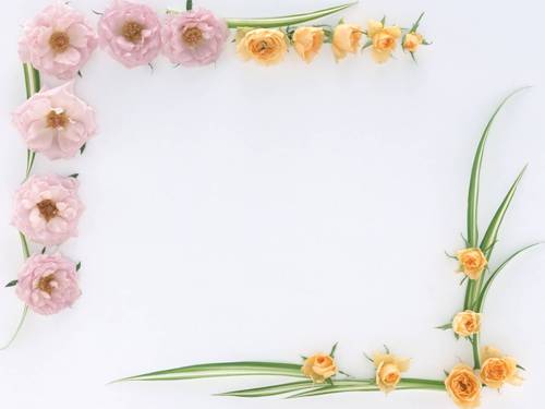 Bài 28. Xây dựng chủ nghĩa xã hội ở miền Bắc, đấu tranh chống đế quốc Mĩ và chính quyền Sài Gòn ở miền Nam (1954 -1965)