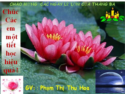 Bài 28. Xây dựng chủ nghĩa xã hội ở miền Bắc, đấu tranh chống đế quốc Mĩ và chính quyền Sài Gòn ở miền Nam (1954 -1965)