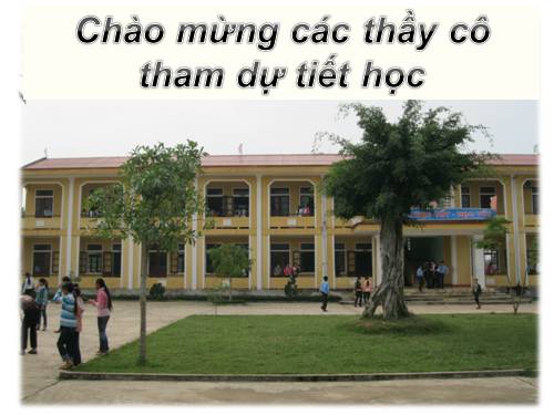 Bài 17. Cách mạng Việt Nam trước khi Đảng Cộng sản ra đời