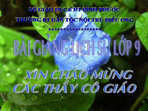 Bài 13. Tổng kết lịch sử thế giới từ sau năm 1945 đến nay
