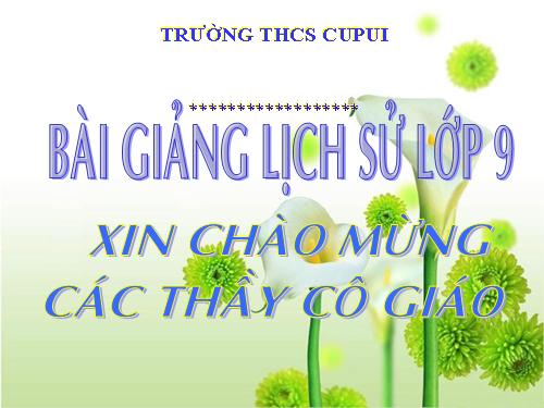 Bài 13. Tổng kết lịch sử thế giới từ sau năm 1945 đến nay