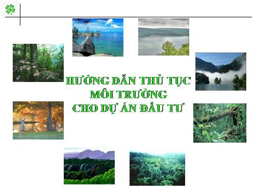 Thủ tục môi trường cho dự án đầu tư