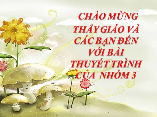 Hồi Giáo